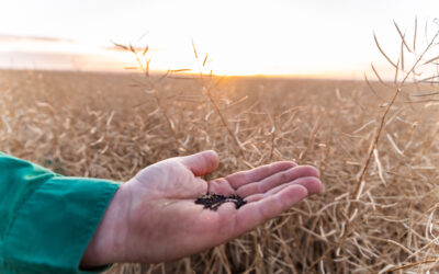 10 Years of Bunge in WA